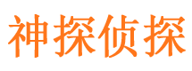 阜城外遇调查取证